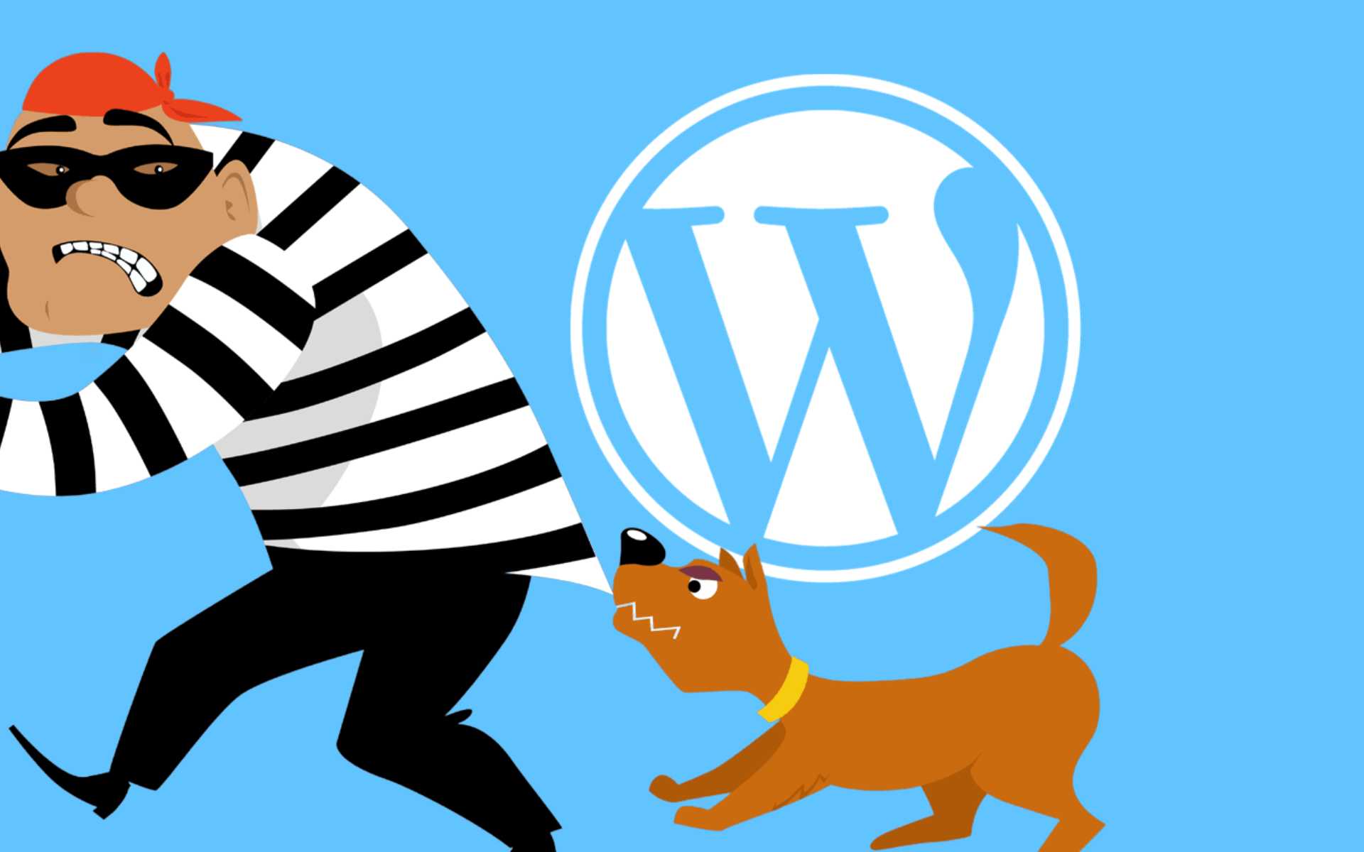 WordPress Takes A Bite Out Of Plugin Attacks